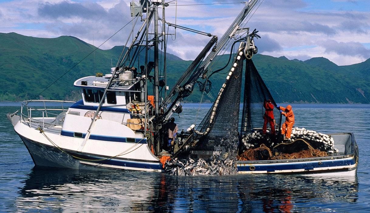 A diesel powered fishing boat hauling in a catch in plastic nets
