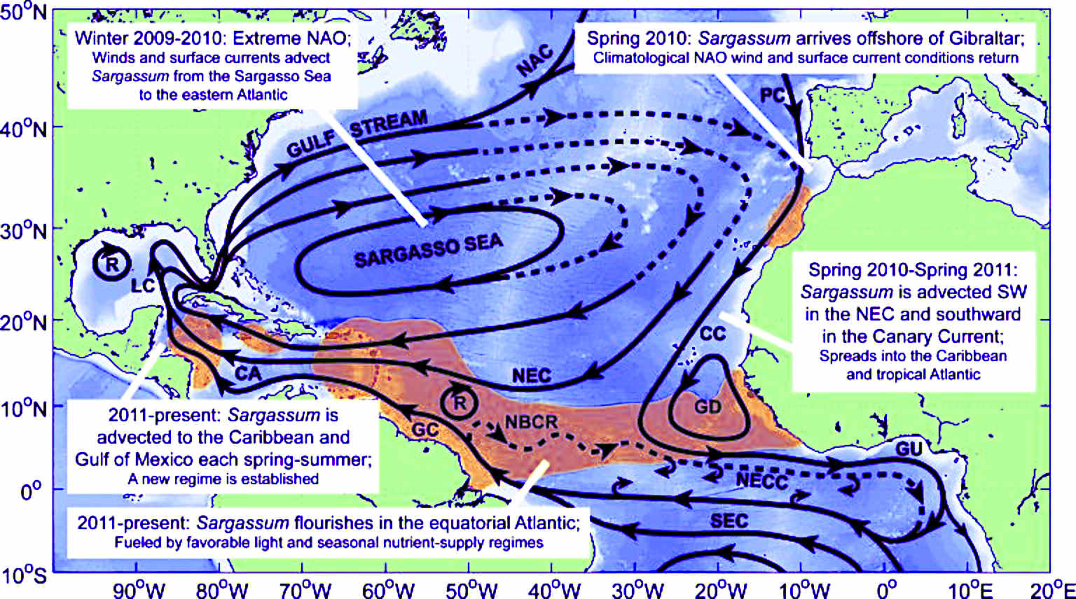 Map showing the spread of sargassum from the North to the South equatorial Atlantic