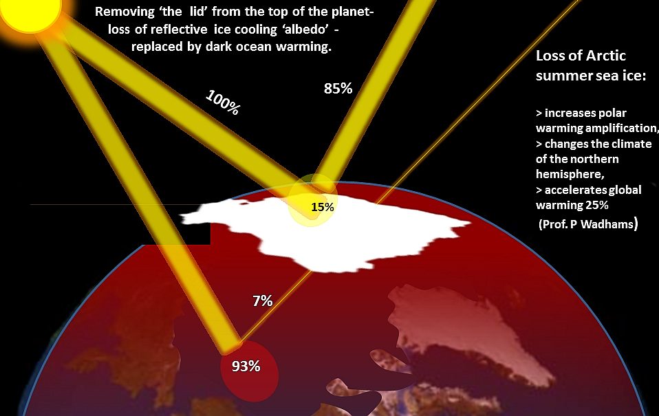 Loss of Arctic albedo ice cooling increases polar warming