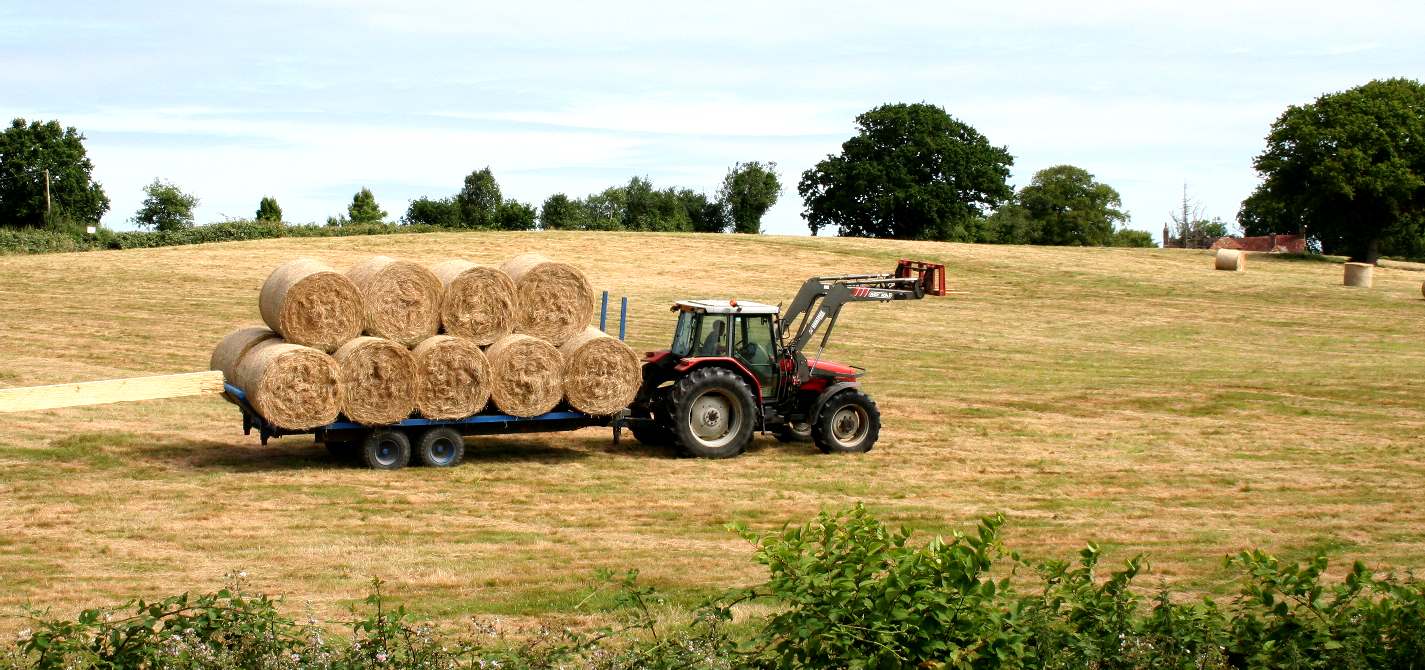 Agriculture for food production is failing in terms of security as the population rises